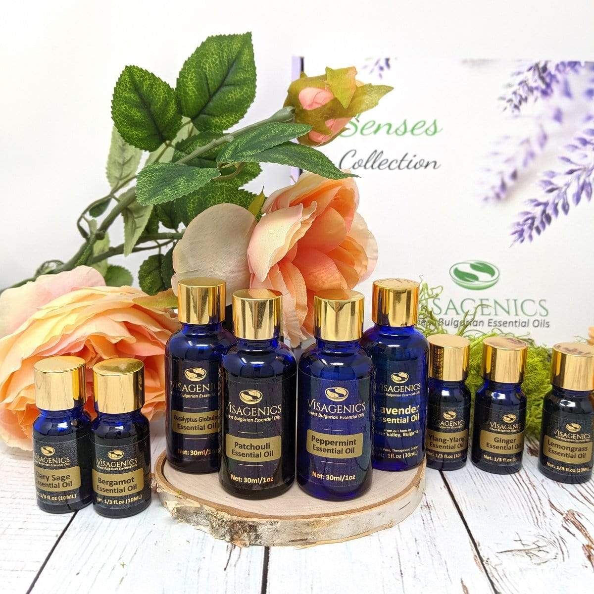 NEW: Premium Essential Oils GIFT SET 